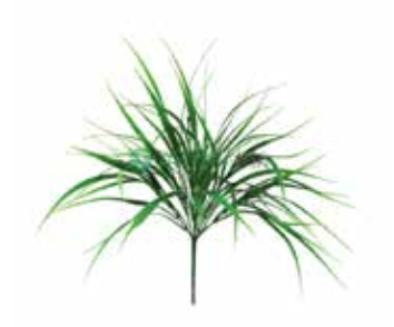 Acessório Capim Plus (45,5 cm)