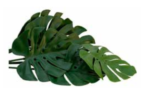 Acessório Costela de Adão (56 cm)