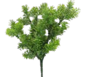 Acessório Tuia Holandesa (35 cm)
