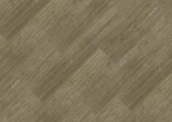 24037665 Noz-Pecan